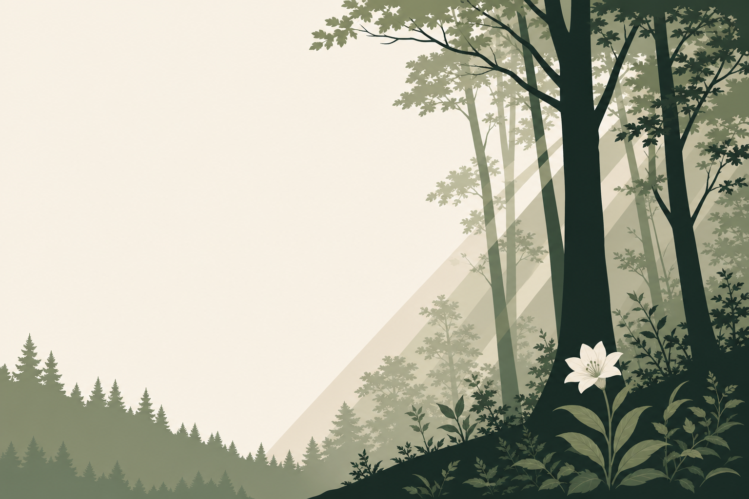 Sonnenlicht durch einen ruhigen Wald